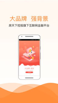 天下贷 规范金融中介服务的探索与实践